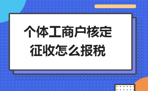 山東個人所得稅核定征收辦法辦理流程